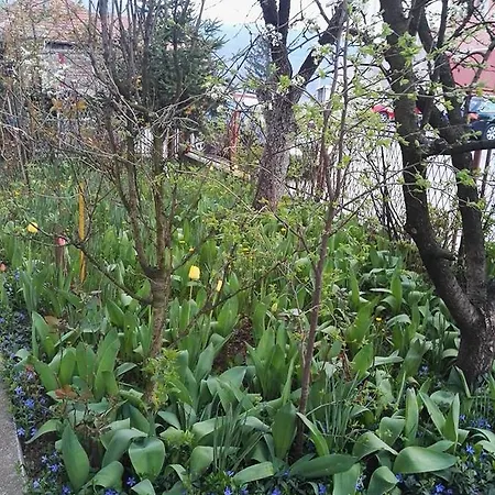 Apartman Panorama
