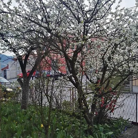 Panorama *