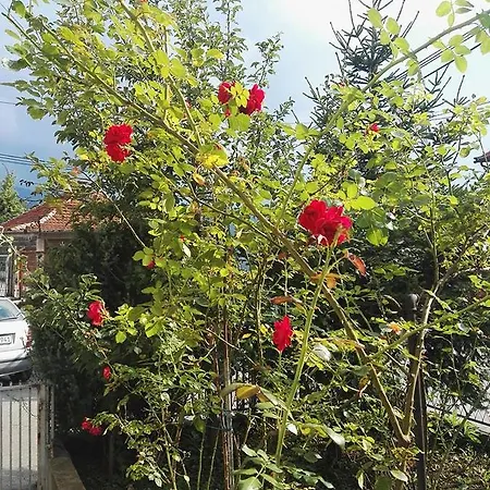 Panorama Apartman