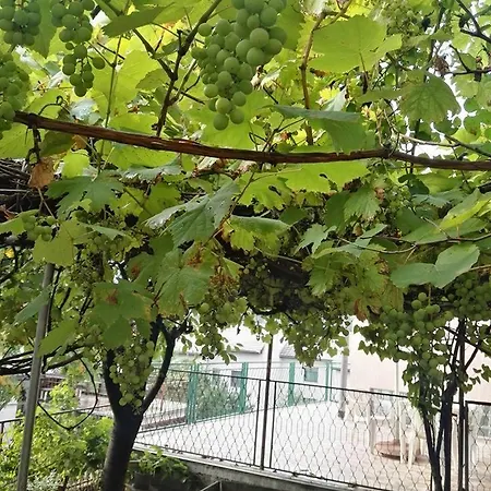 Panorama Apartman *